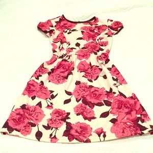Dorothy Perkins Floral Day Dress